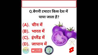 Baigani tamatar kis desh mein paya jata hai।।Tomato।।shorts [upl. by Cairns]