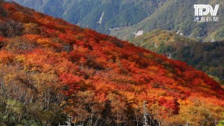 徳島県紅葉特集2023 [upl. by Sedberry232]