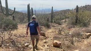 Wasson Peak Hike  Saguaro National Park [upl. by Asilana]