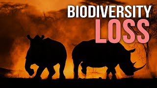 Biodiversity Loss  A Documentary [upl. by Yaron]