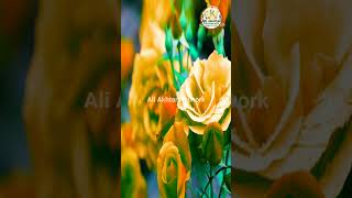 Shahe Madina Taiba Ke Wali Shahe Madina  naat shortsnaat aliakhtarnetwork853shorts [upl. by Eleda123]