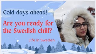 Winter is knocking Are you ready for the Swedish chill 🌨️ LifeInSweden [upl. by Ahtera719]