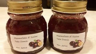 Marmellata di susine con un quotsegretoquot di mia suocera [upl. by Enecnarf]