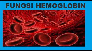 Hemoglobin Fungsi Nilai Normal Nilai Tidak Normal [upl. by Ruttger]