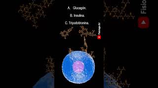 Repasa fisiología Endocrina  Preguntas y respuestas de la fisiología del sistema endocrino [upl. by Onnem242]