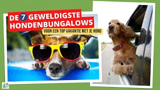 7 geweldige hondenbungalows 🐶 → Voor een TOP vakantie met je hond [upl. by Tiphane]