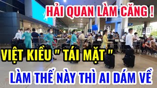 HẢI QUAN LÀM CĂNG  VIỆT KIỀU VỀ VIỆT NAM quot TÁI MẶT quot CHỈ VÌ ĐIỀU NÀY [upl. by Ahsienad]