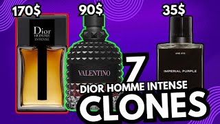 Top 7 Dior Homme Intense DUPESCLONES  Affordable Alternatives of Dior Homme Intense [upl. by Nylrehs339]