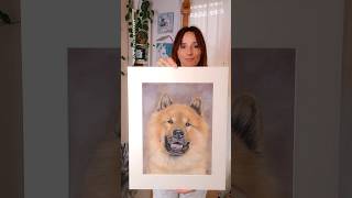 Eurasier in Pastell auf Velourpapier realisticdrawing eurasier [upl. by Zales]