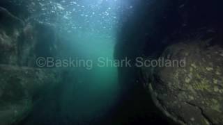 Underwater Fingals Cave [upl. by Keifer]