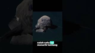 Snailfish marianastrench 8000m facts faktaunik faktadunia misteri lautdalam [upl. by Singh]