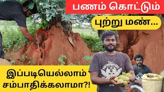 கரையான் புற்று காசாகுதா  இவரைப் போல யோசிச்சா நிச்சயம் வெற்றிதான்  Inspiring Youngster [upl. by Lawton503]