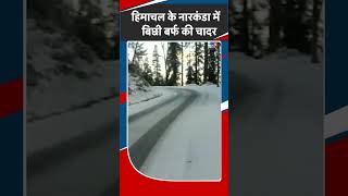 Himachal के Narkanda में बिछी बर्फ की चादर  Snowfall  Shorts [upl. by Sairacaz]