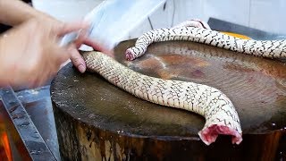 Chinese Street Food  GIANT SNAKE SOUP Guangdong China [upl. by Evelinn]