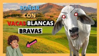 🤍🐮 que SIGNIFICA SOÑAR con VACAS BLANCAS BRAVAS 🤑🐮 [upl. by Voccola129]