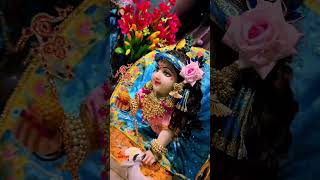 laddu Gopal mere laddu gopal laddugopal littlekrishna shortsvideo youtube youtubeshorts [upl. by Droffilc]