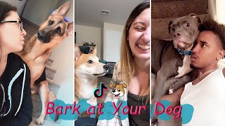 Bark at Your Dog Challenge 😂 TikTok Compilation 2023 1 [upl. by Eneladgam]