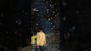 Money rain bomb 💸💥  Diwali special viralvideos diwalipatake ytshorts [upl. by Lierbag434]