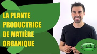 COURS DE TERMINALE SPÉCIALITÉ SVT CHAP9 LA PLANTE PRODUCTRICE DE MATIÈRE ORGANIQUE  Bio Logique [upl. by Anella704]