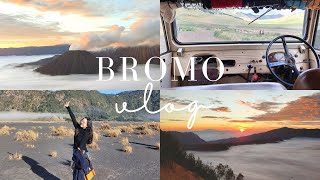 BROMO 🍃🏔️👀 [upl. by Bridgette]