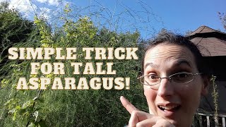 This Simple Trick Will Keep Your Asparagus From Falling Over [upl. by Arrat]