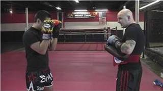 Kickboxing Training  Basic Kickboxing Techniques [upl. by Assylla]