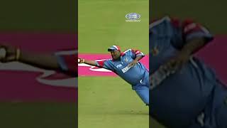 Throwback to this BEAUTY from Dwayne Leverock 🤩 9WWOS Cricket [upl. by Elrebmik]