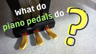 What Do Piano Pedals Do [upl. by Hogle]