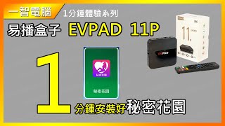 1分鍾安裝好 秘密花園  易播盒子11代  EVPAD11P開箱實拍功能介紹一智電腦safeprosys [upl. by Aser]