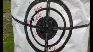 410 gauge slugs self made on 80 yards testwmv [upl. by Yekciv]