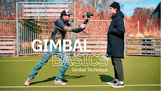 5 Basic Gimbal Tips For Beginners  Master Basics Gimbal Techniques  Improve Your Gimbal Shots [upl. by Curren]