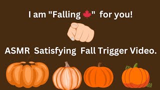 ASMR Whispers Satisfying Video of Fall Triggers ASMR satisfyingvideo goviral [upl. by Eedyah]