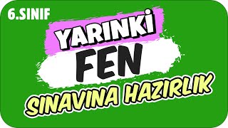 YARINKİ FEN SINAVINDA ÇIKAR ✍🏻 6 SINIF [upl. by Elene]