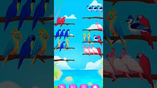 Bird shot color puzzle Trailer birds gamingtrendingsonglove birdsortcolor viral [upl. by Hamon531]