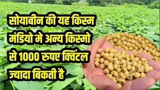 जेएस 9305 सोयाबीन किस्म  js 9305 soybean variety  js 9305 सोयाबीन वान [upl. by Sherwin]