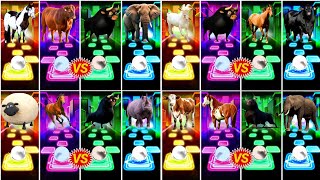 Funny Horses 🆚 Funny Gorts 🆚 Funny Sheep 🆚 Funny CowWho In The Best👍Coffin Dance Song🎼 [upl. by Kaine]