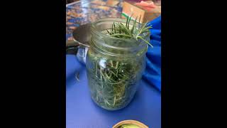 Rosemary essential oil diy [upl. by Ecinahs]