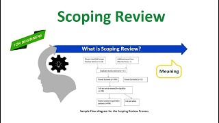 Scoping Review [upl. by Rossy]