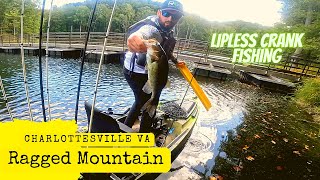 Kayak Bass Fishing Ragged Mountain Charlottesville VA Lipless Crankbait Fishing the Fall Transition [upl. by Yenaled550]