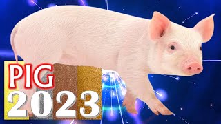 Pig Horoscope 2023 ❤ Born 2019 2007 1995 1983 1971 1959 1947 1935 [upl. by Burkhard]