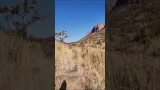 Waterberg mountains in Marakele national park [upl. by Jerusalem499]