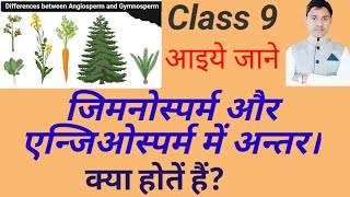 difference between gymnosperms and angiosperms class 9 अनावृत व आवृतबीजी पौधों में अन्तरvedi 67 [upl. by Elisha]