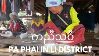 Pa Phai in Li district  Karen Village [upl. by Ical]