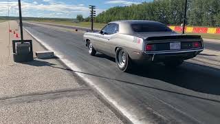 Terrys cuda [upl. by Lawry]