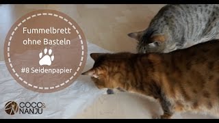 Seidenpapier als spannendes Fummelbrett für deine Katze  Katzenspielzeug selber machen [upl. by Segalman878]