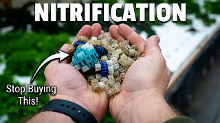 Why NITRIFICATION matters in AQUAPONICS [upl. by Akemehc449]