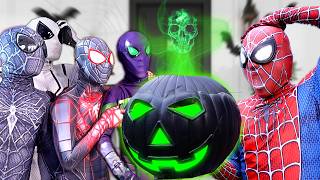 SPIDERMAN Bros vs Mystery PUMPKIN  Funny Scary Movie [upl. by Akemor]