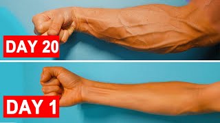 How To Get Veins in your ARMS  Forearm Workout  Veiny Hands [upl. by Cosette]