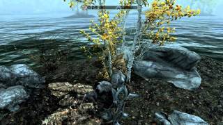 The Elder Scrolls V Skyrim  The Quill of Gemination [upl. by Inasah511]