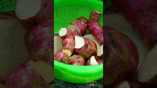 Sweet potato  മധുര കിഴങ്ങ് keralafood youtubeshorts food [upl. by Simona]